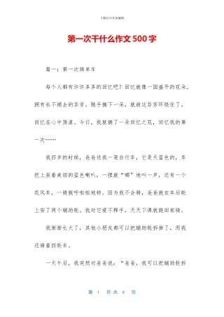 第一次干什么作文500字