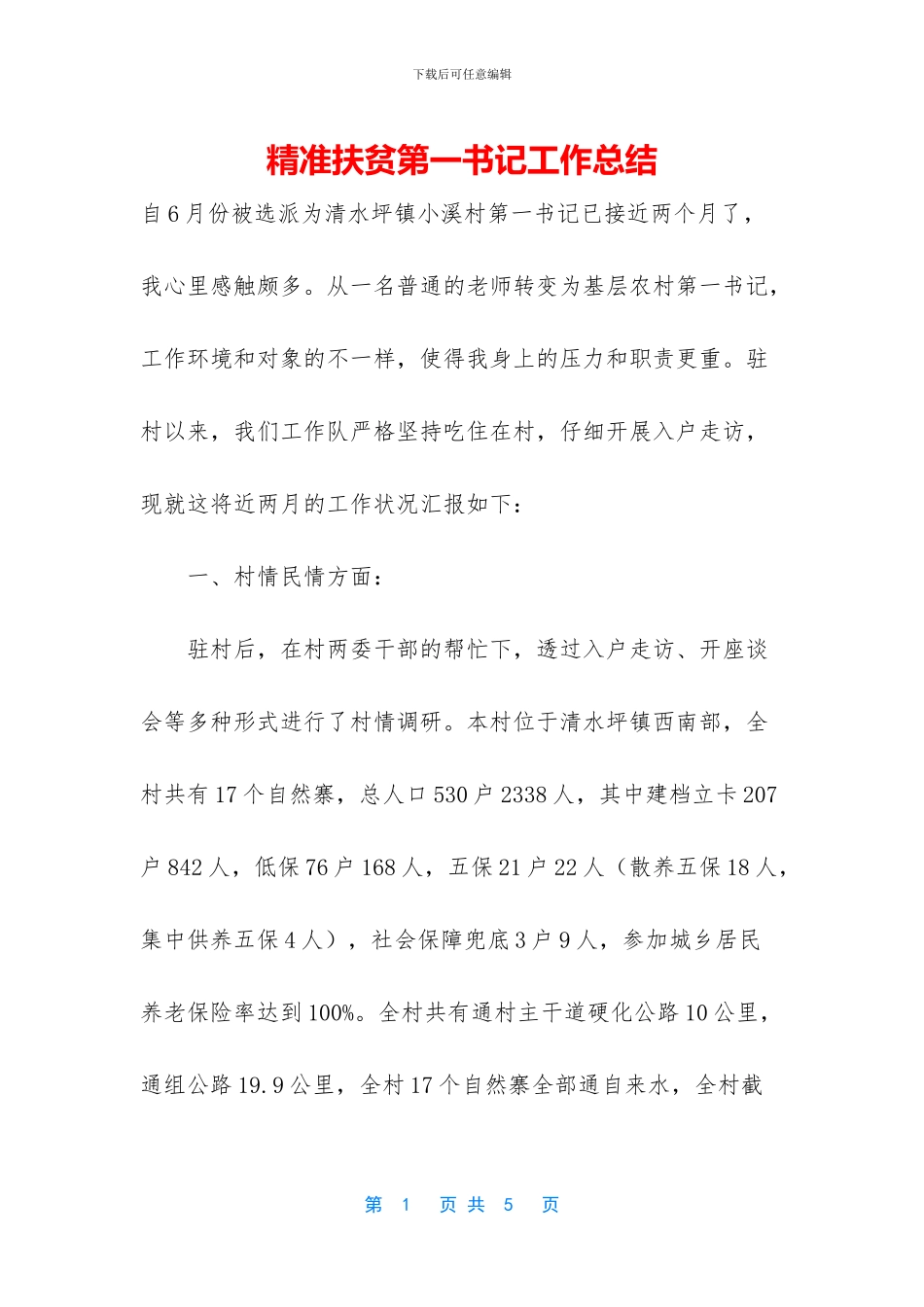 精准扶贫第一书记工作总结_第1页