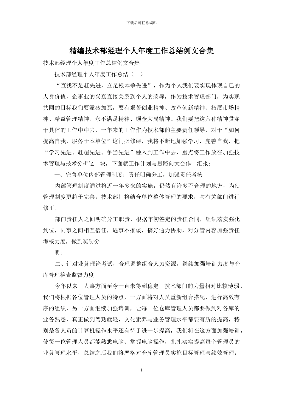 精编技术部经理个人年度工作总结例文合集_第1页