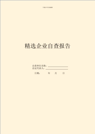 精选企业自查报告