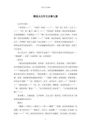 精选元旦作文合集九篇