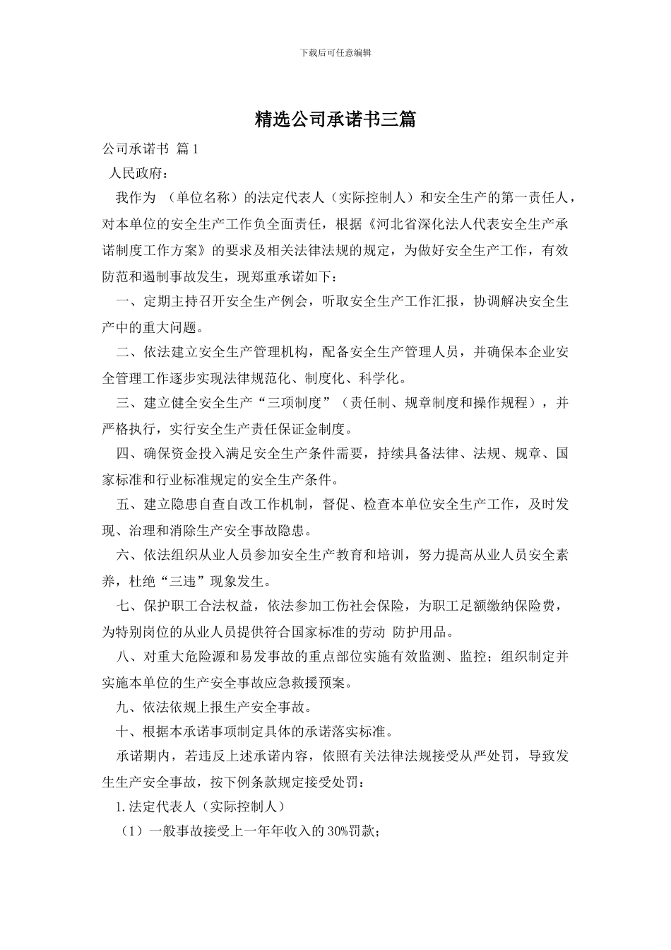 精选公司承诺书三篇_第1页