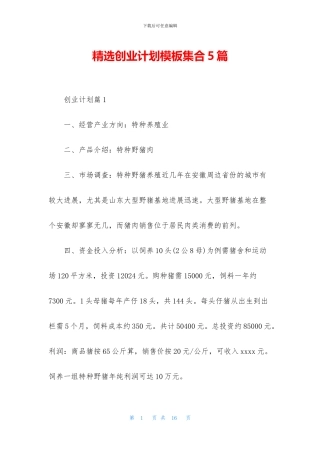 精选创业计划模板集合5篇