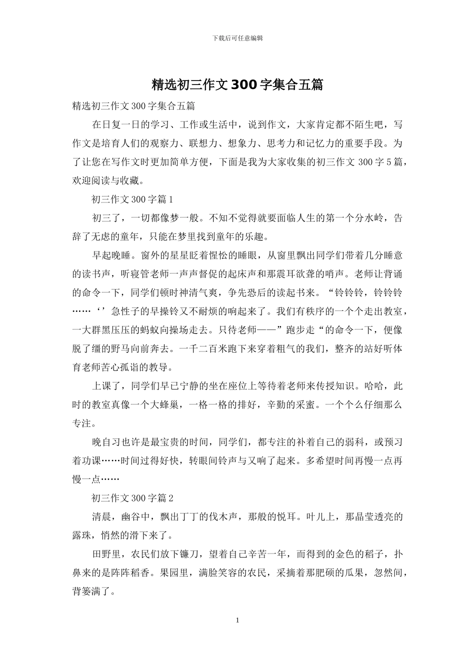 精选初三作文300字集合五篇_第1页