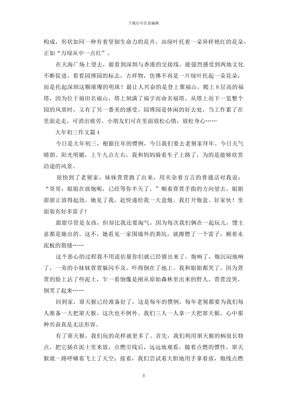 精选大年初三作文汇编5篇_第3页
