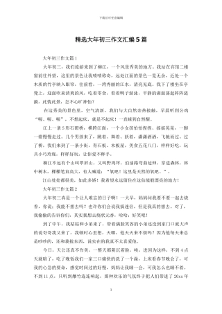精选大年初三作文汇编5篇