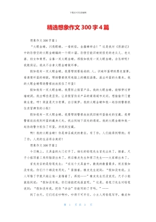 精选想象作文300字4篇
