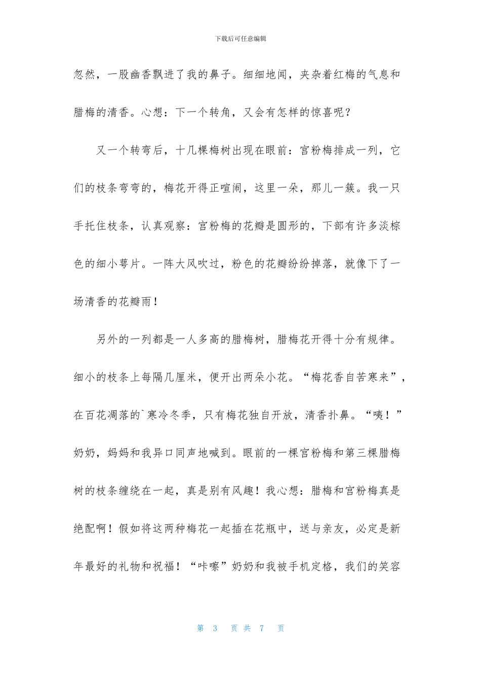 精选春节的叙事作文4篇_第3页