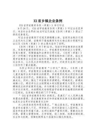 XX省乡镇企业条例_1