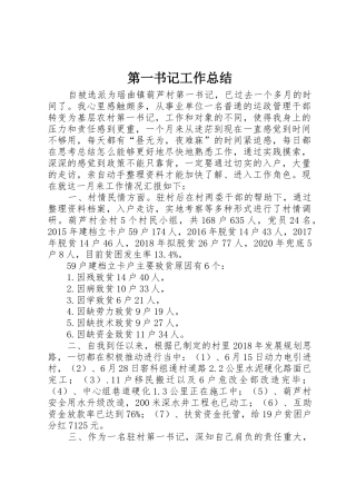 第一书记工作总结