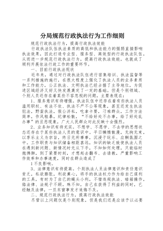 分局规范行政执法行为工作细则_1