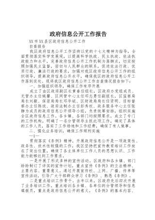 政府信息公开工作报告_1