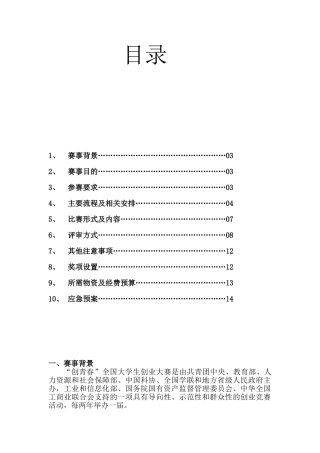 创青春“公益创业大赛”策划书