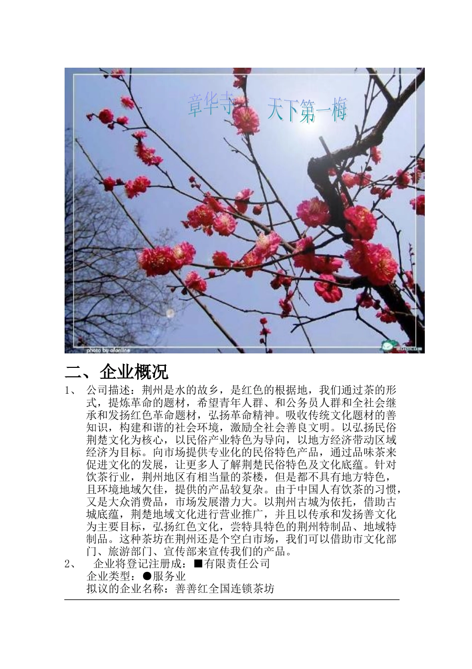 创业计划书模板善善红全国连锁茶坊完成版_第3页