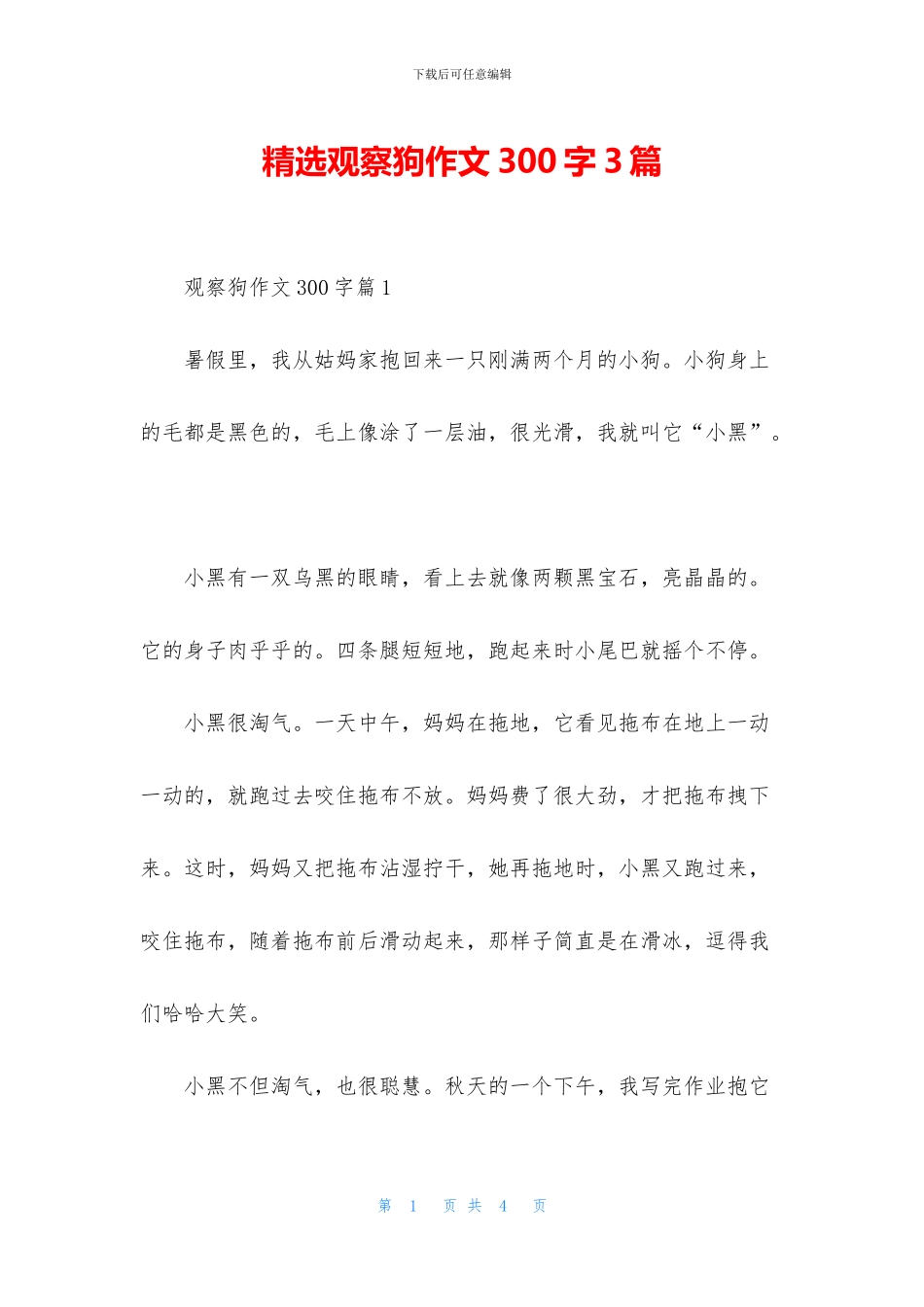 精选观察狗作文300字3篇_第1页