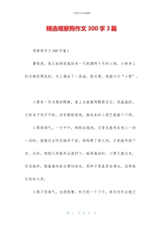 精选观察狗作文300字3篇