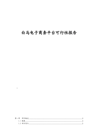 电子商务平台可行性分析报告