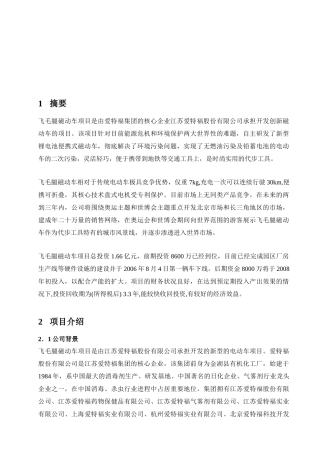 飞毛腿XX动力车项目商业计划书
