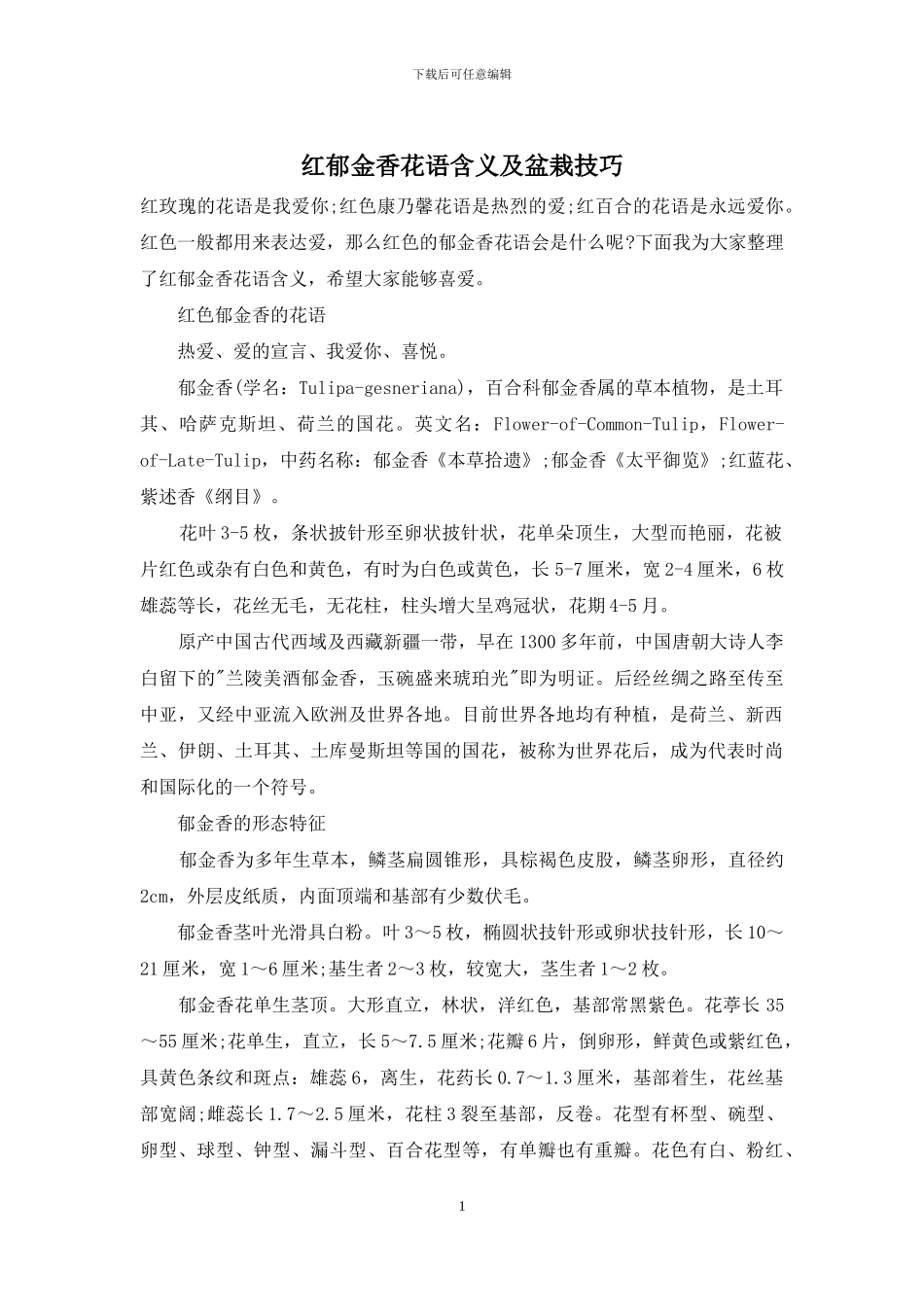 红郁金香花语含义及盆栽技巧_第1页