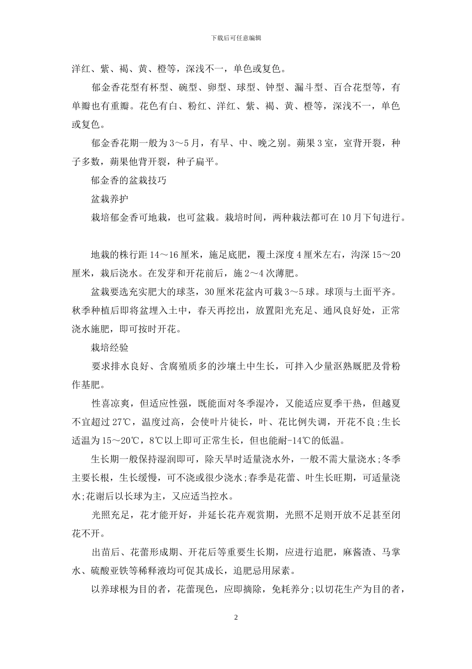 红郁金香花语含义及盆栽技巧_第2页