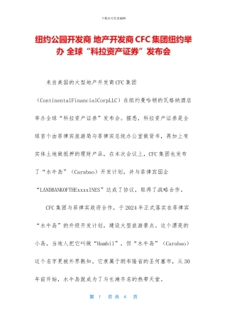 纽约公园开发商