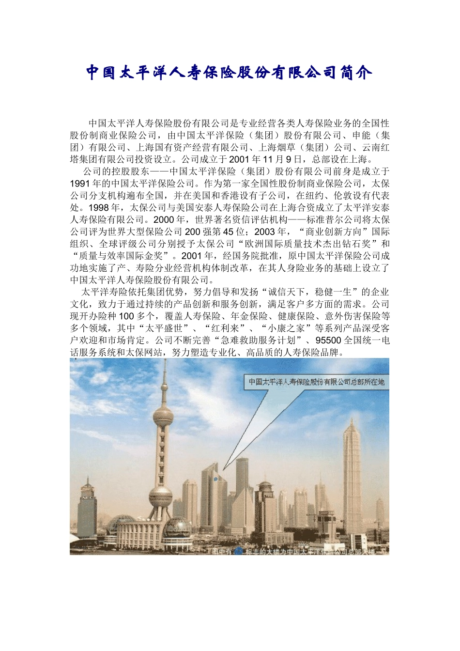个人保险计划书_第2页