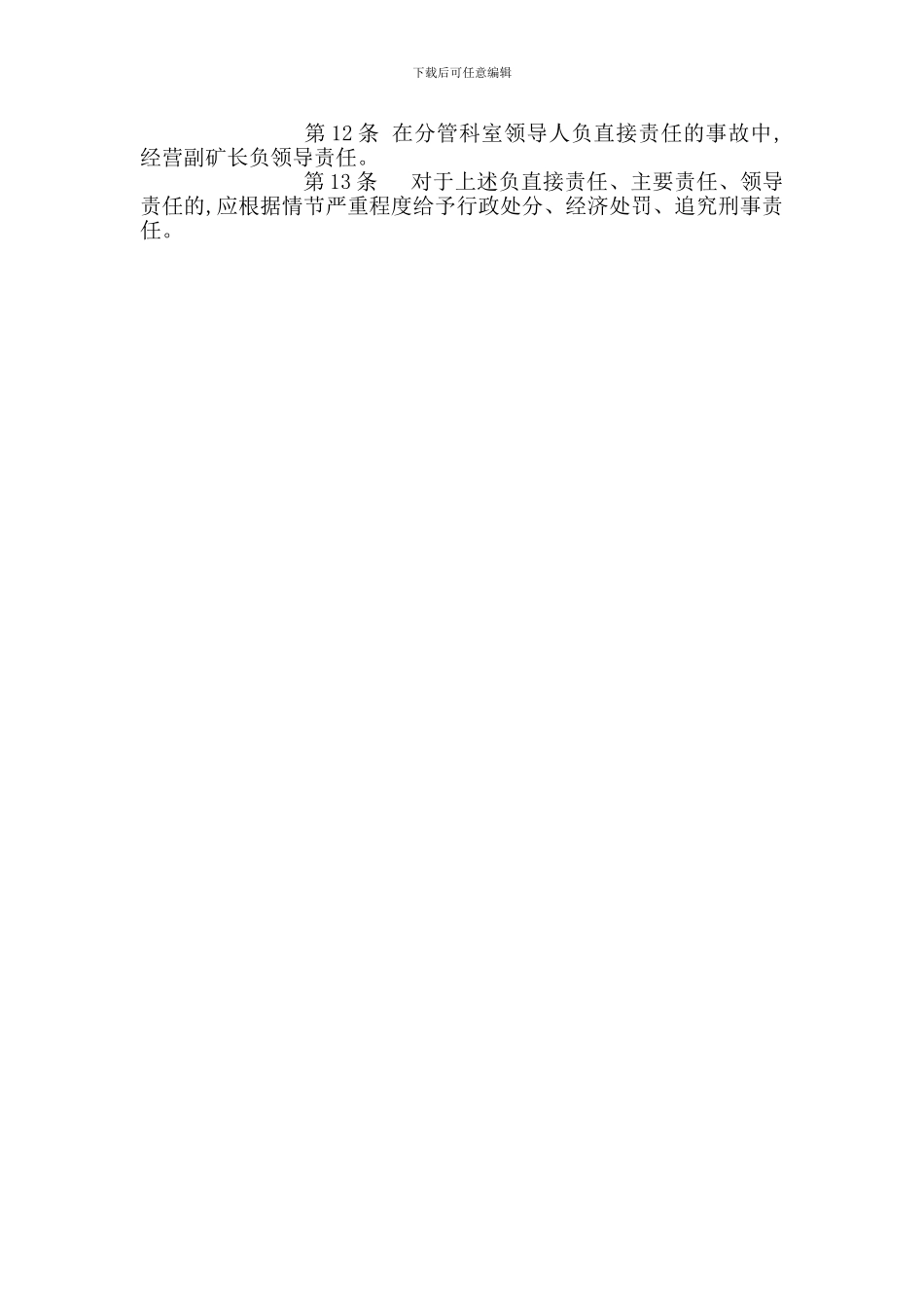 经营副矿长机电副矿长安全生产责任制_第2页