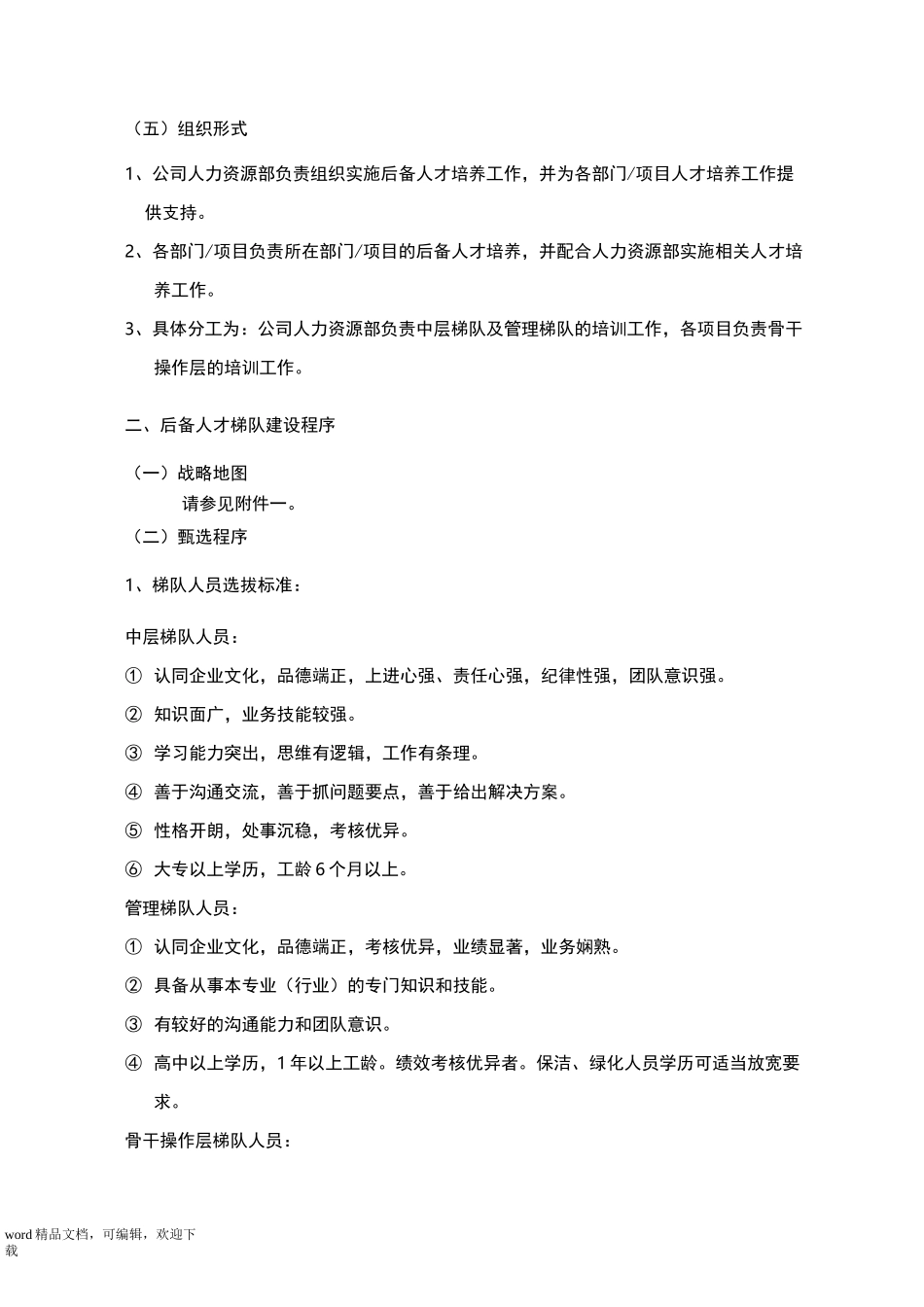 公司人才梯队建设方案详细_第2页
