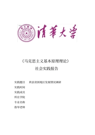 马原实践报告