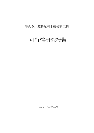 骆驼巷土桥可行性研究报告书