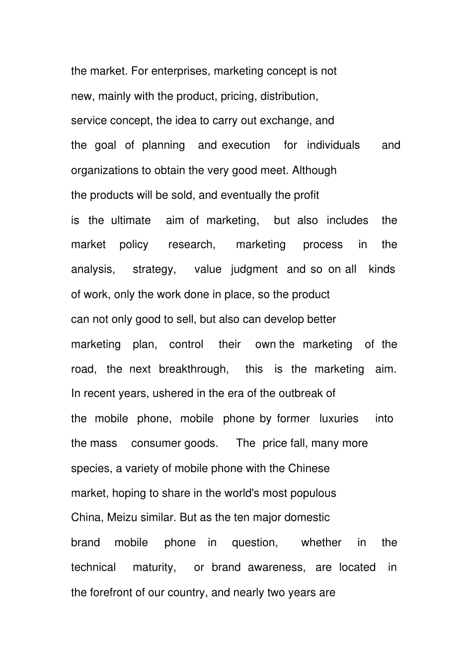 魅族手机营销策划书_第3页