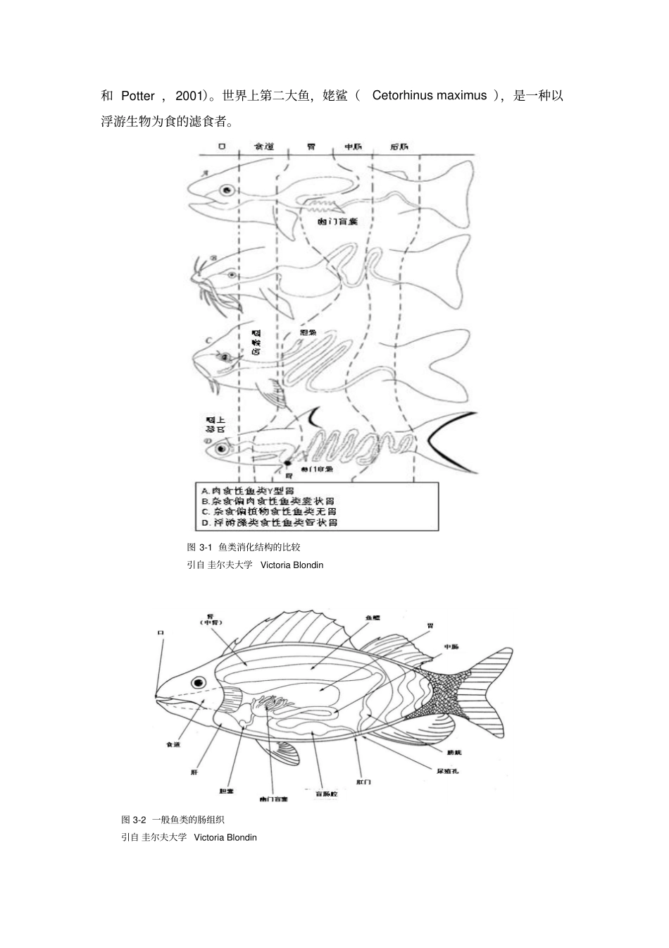 鱼虾的消化生理汇总_第2页