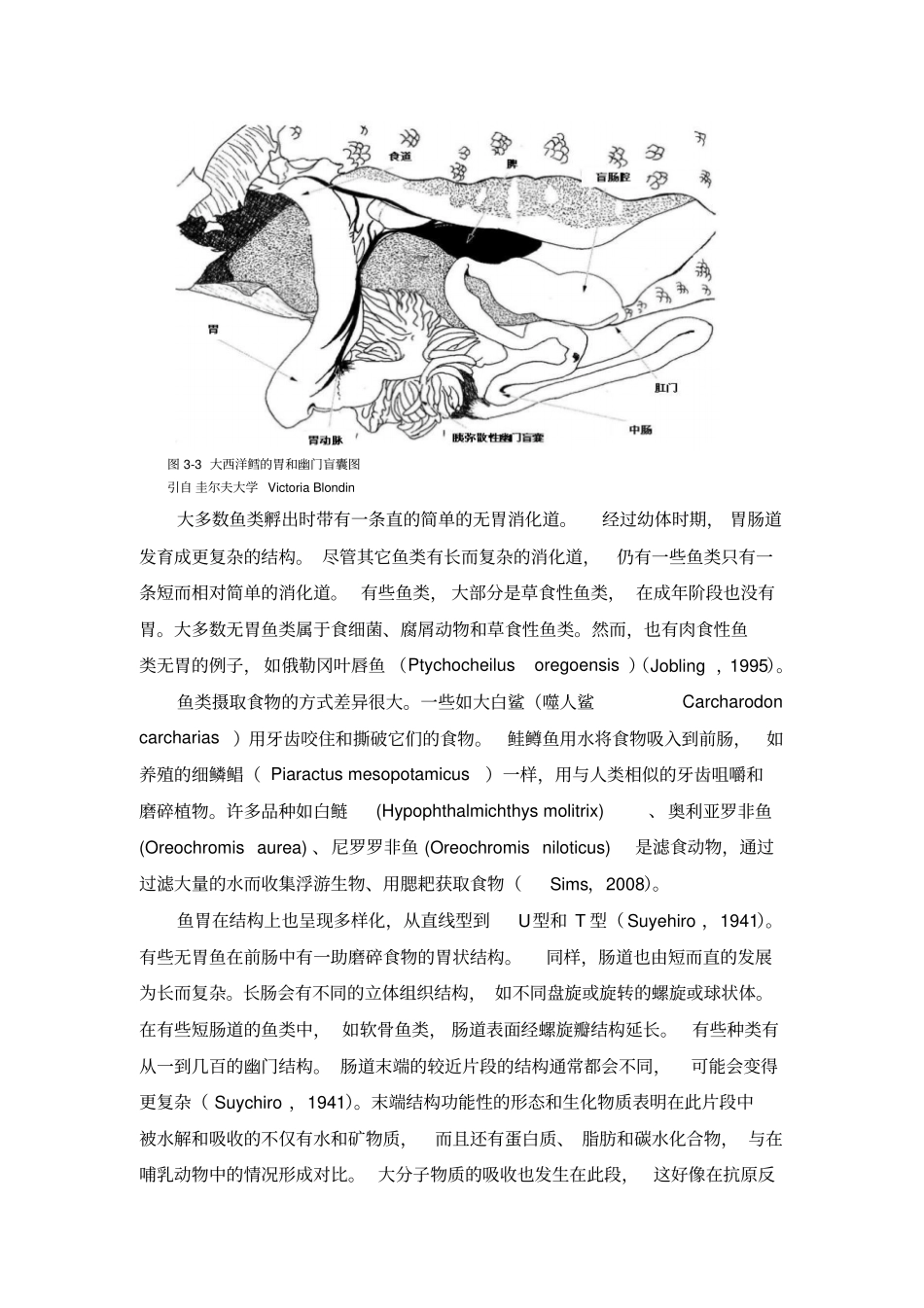 鱼虾的消化生理汇总_第3页