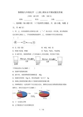 鲁教版九年级化学上册期末水平测试题及答案