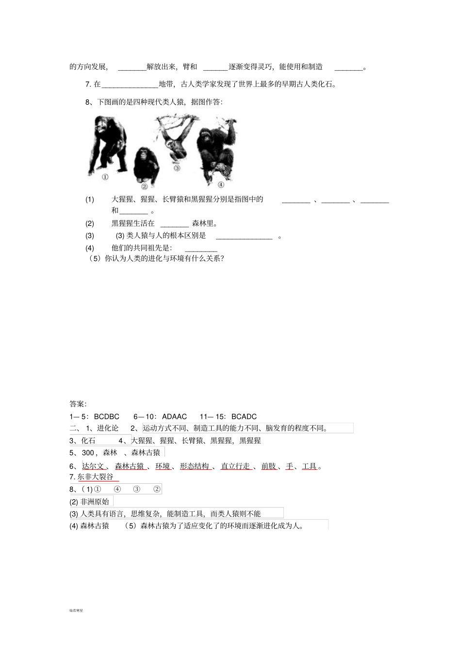 鲁科版五四制生物七上人类的起源和发展检测卷_第3页