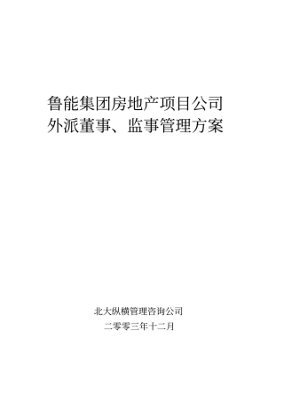 鲁能集团外派房地产项目公司董事、监事管理方案