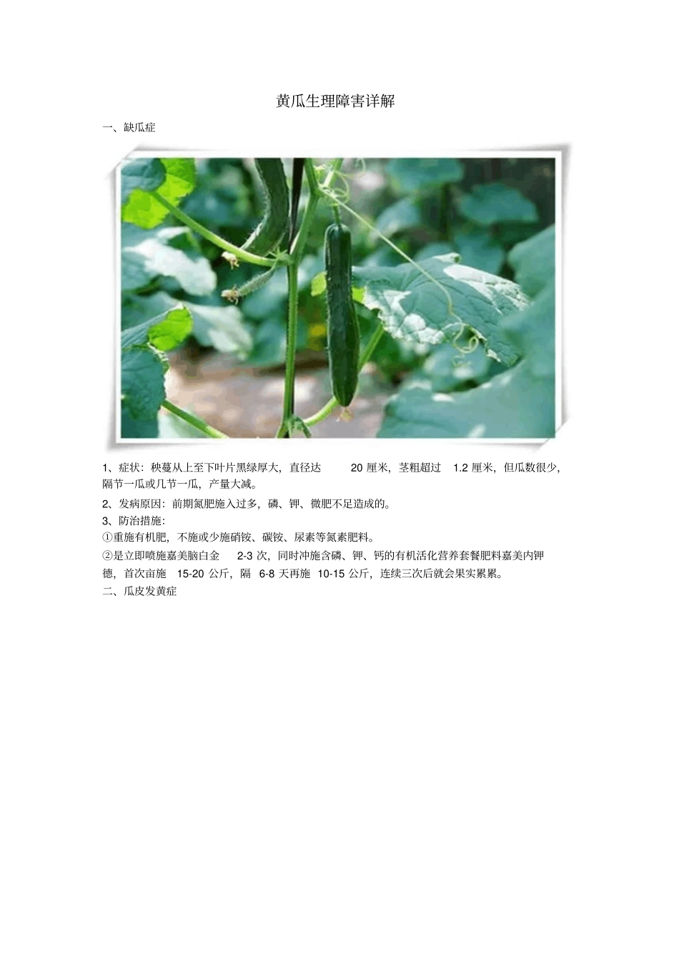 黄瓜生理障害详解重点讲义资料_第1页