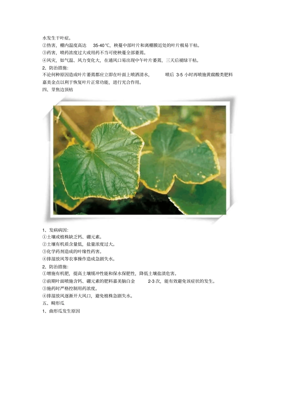黄瓜生理障害详解重点讲义资料_第3页