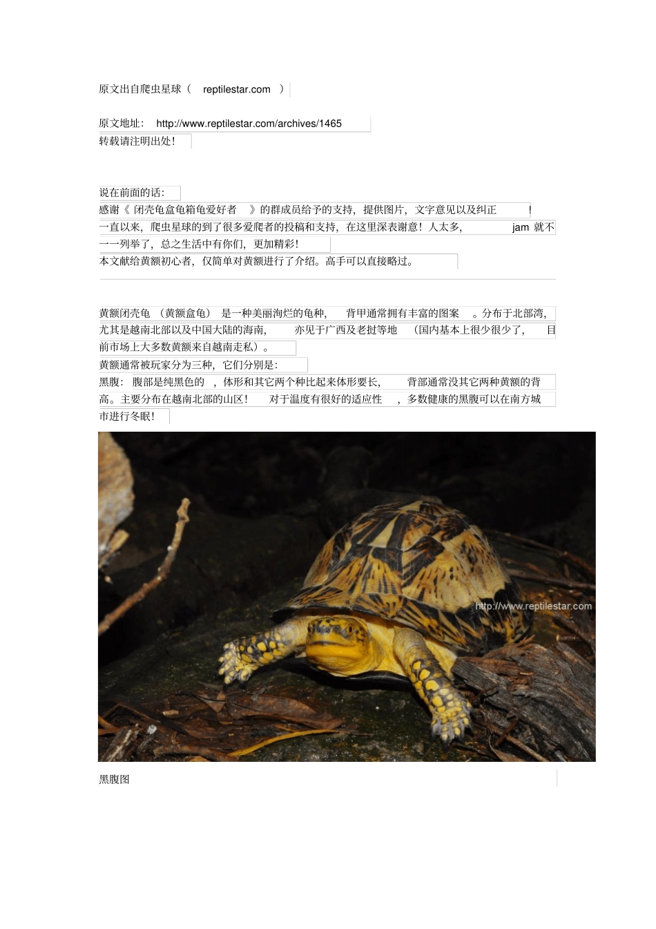 黄额闭壳龟的简介资料_第1页