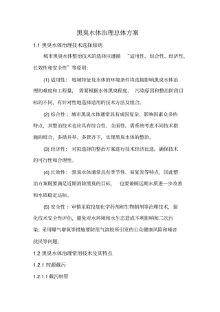 黑臭水体治理方案