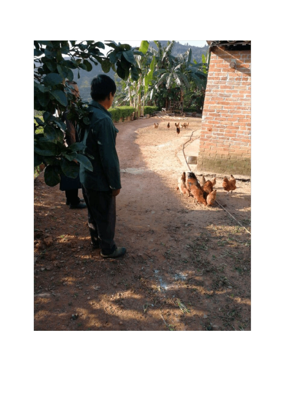 龙凤村贫困户八有一超的佐证材料模板_第3页