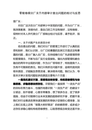 11审计问题的检讨与反思