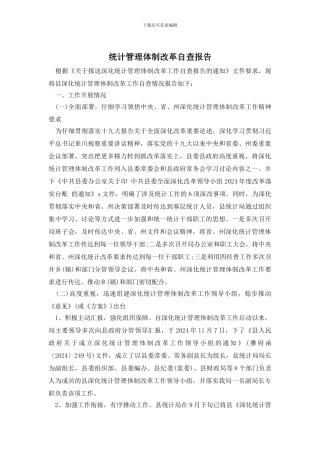 统计管理体制改革自查报告