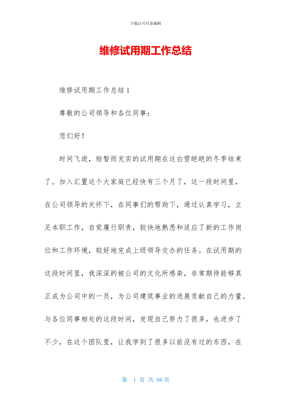 维修试用期工作总结_第1页