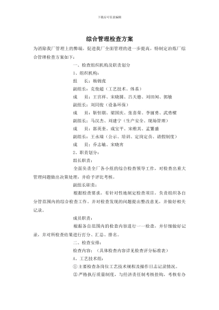 综合管理检查方案