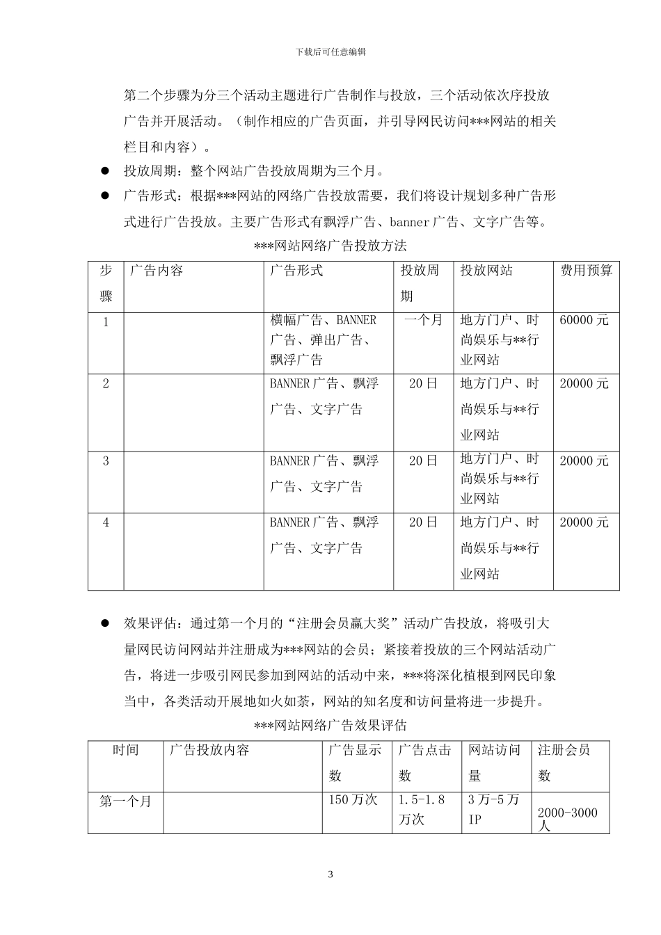 网站详细推广方案_第3页