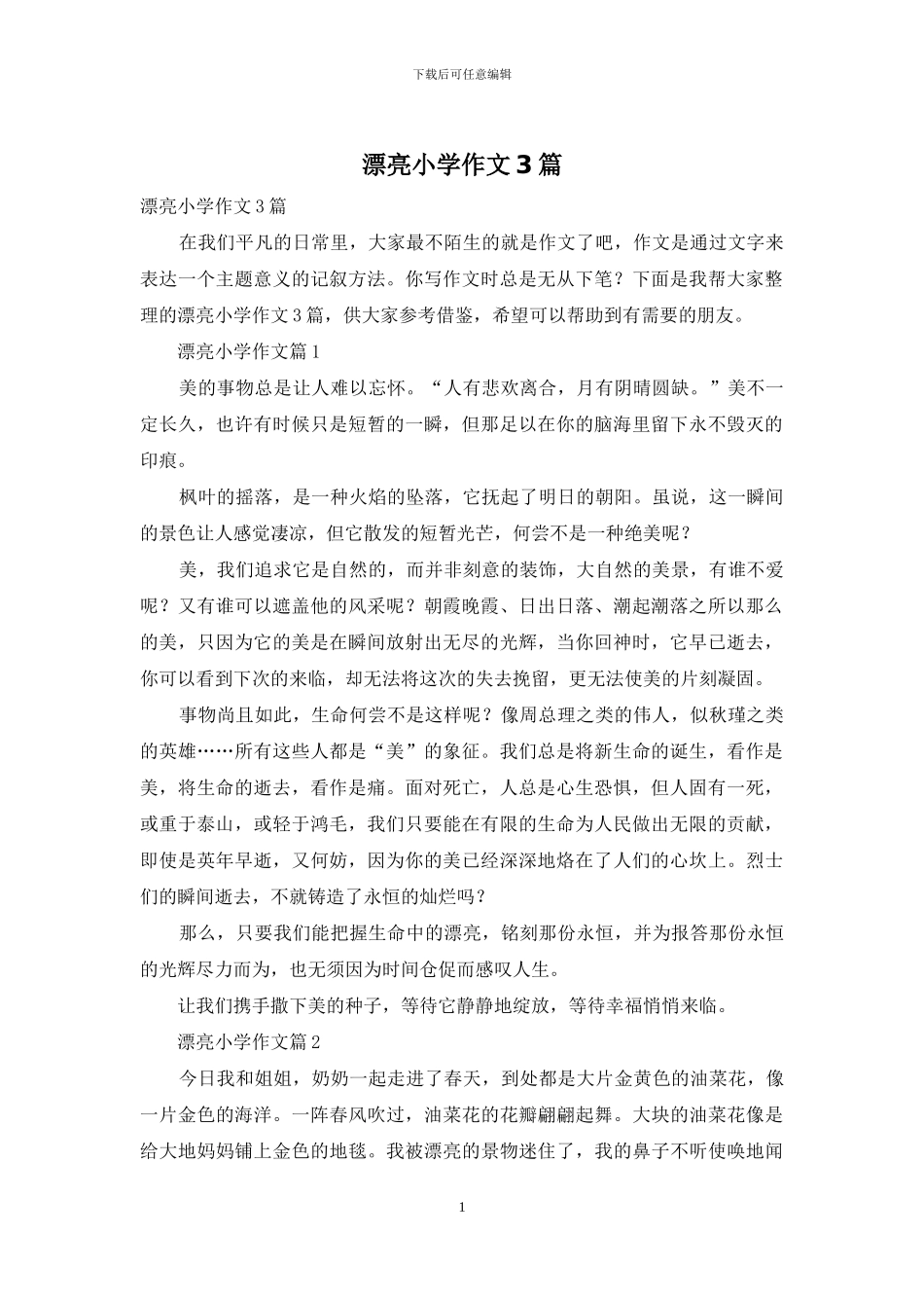 美丽小学作文3篇_第1页