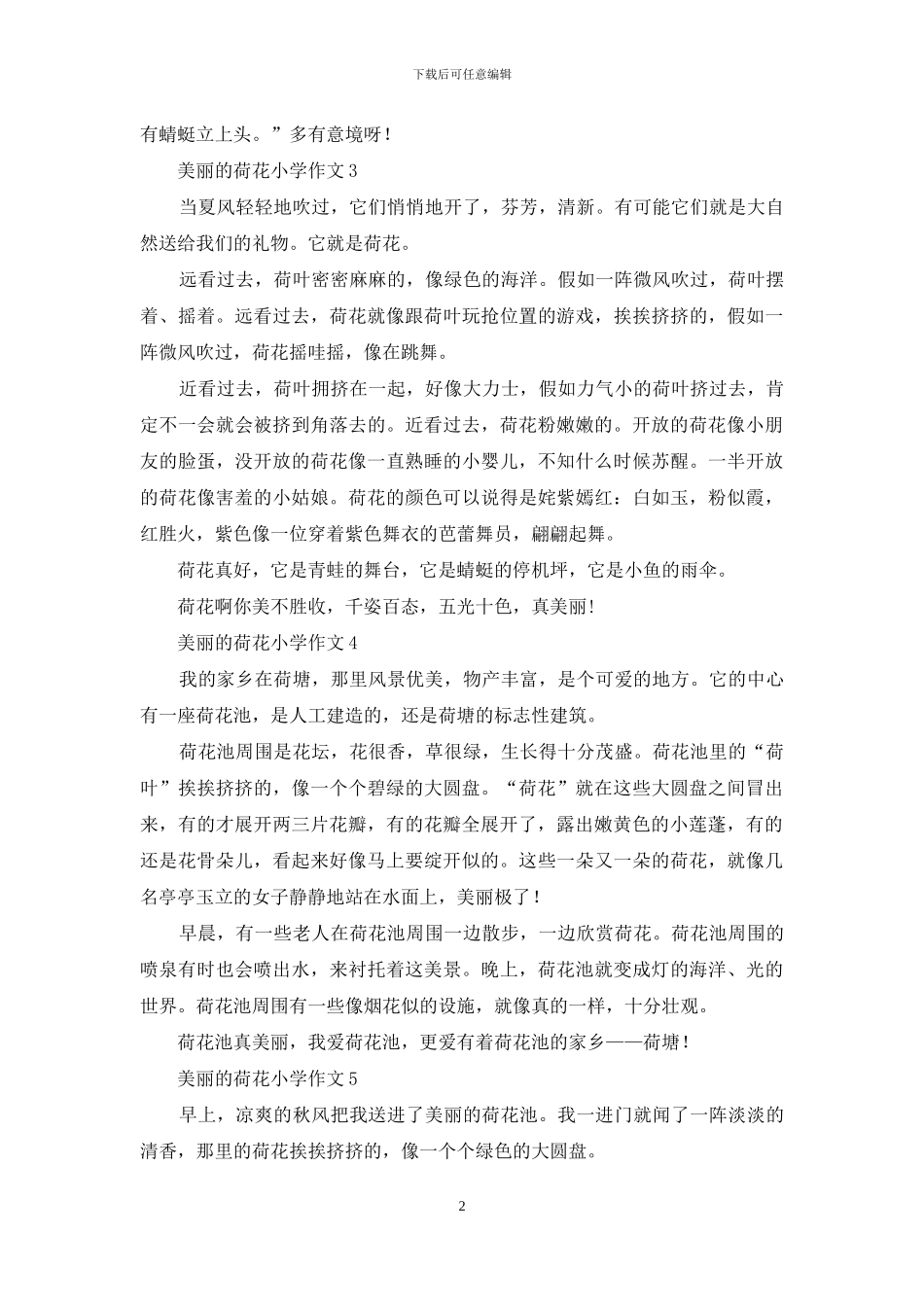 美丽的荷花小学作文_第2页