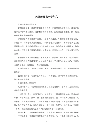 美丽的荷花小学作文