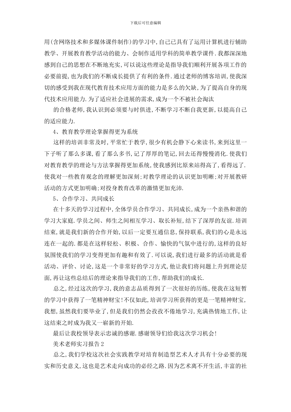 美术教师2024实习总结报告_第2页